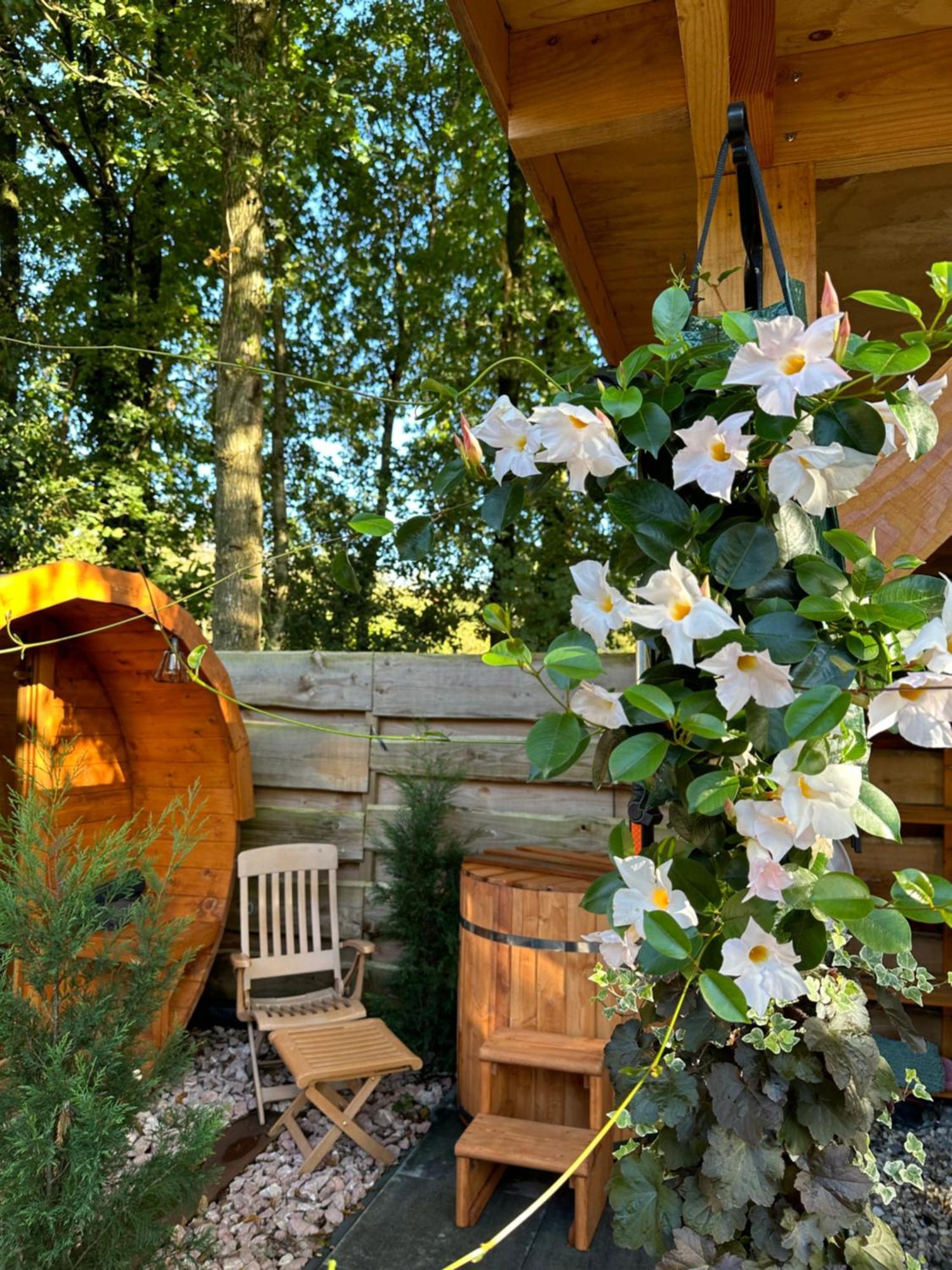 Chalet Harmony Prive Wellness Putten Εξωτερικό φωτογραφία